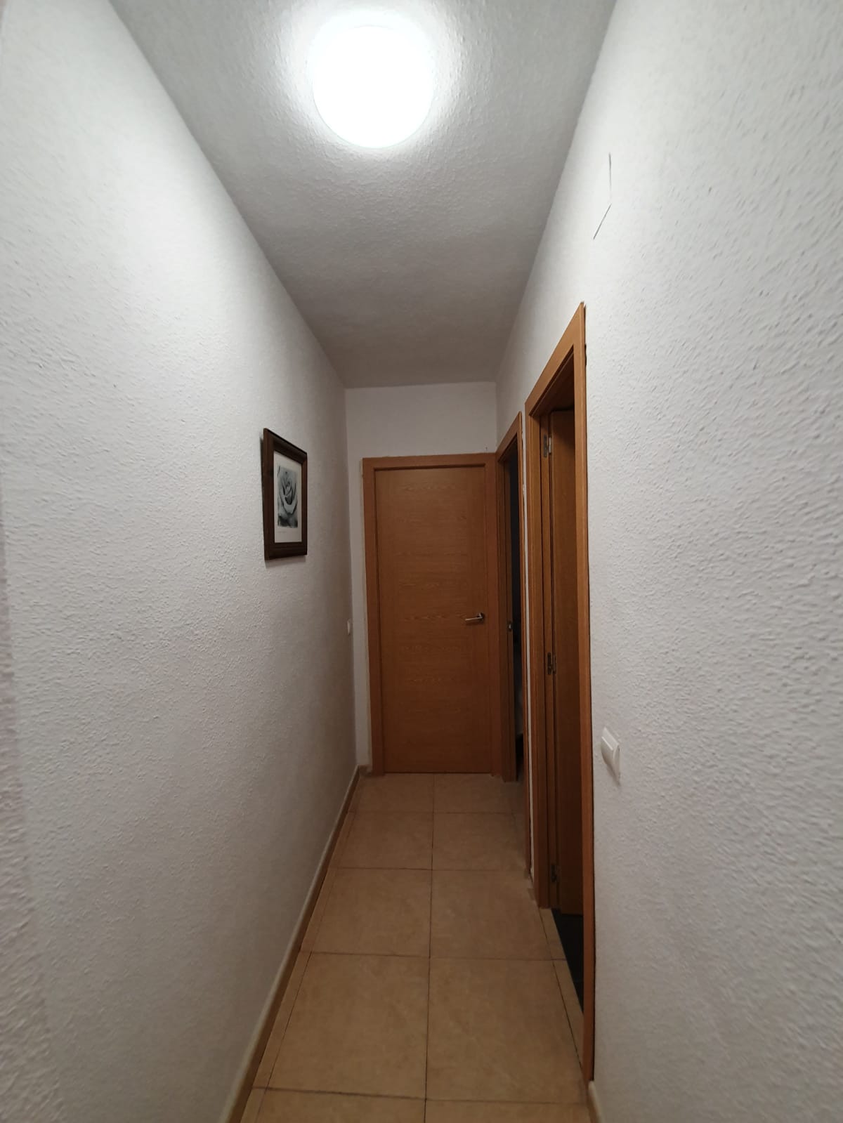 Two-Bedroom Apartment in Torrevieja Town Centre, Steps from the Beach image 13